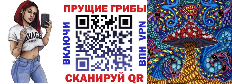 Псилоцибиновые грибы Cubensis  гидра ONION  Шумиха  цена  